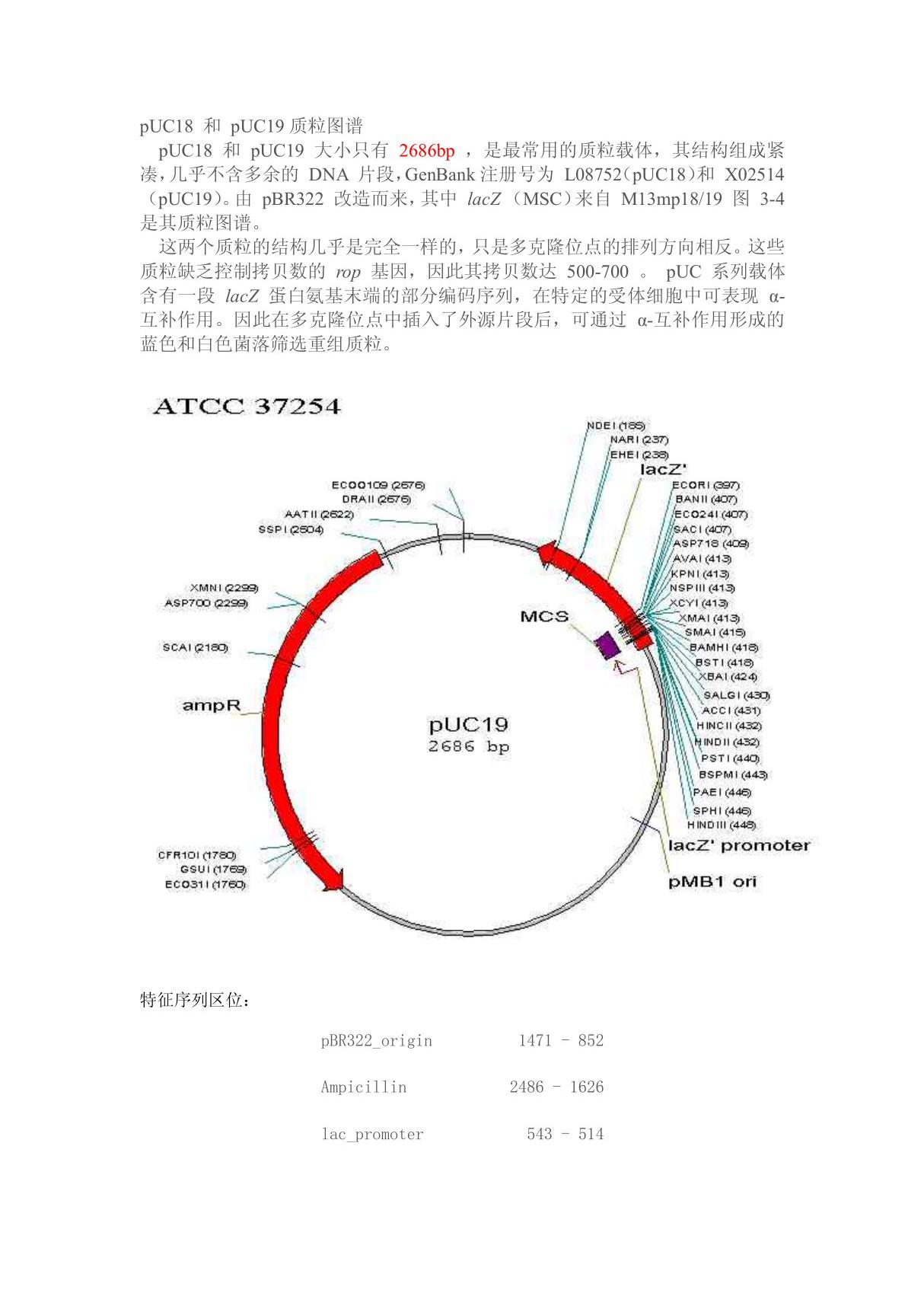 pUC18 和 pUC19质粒图谱