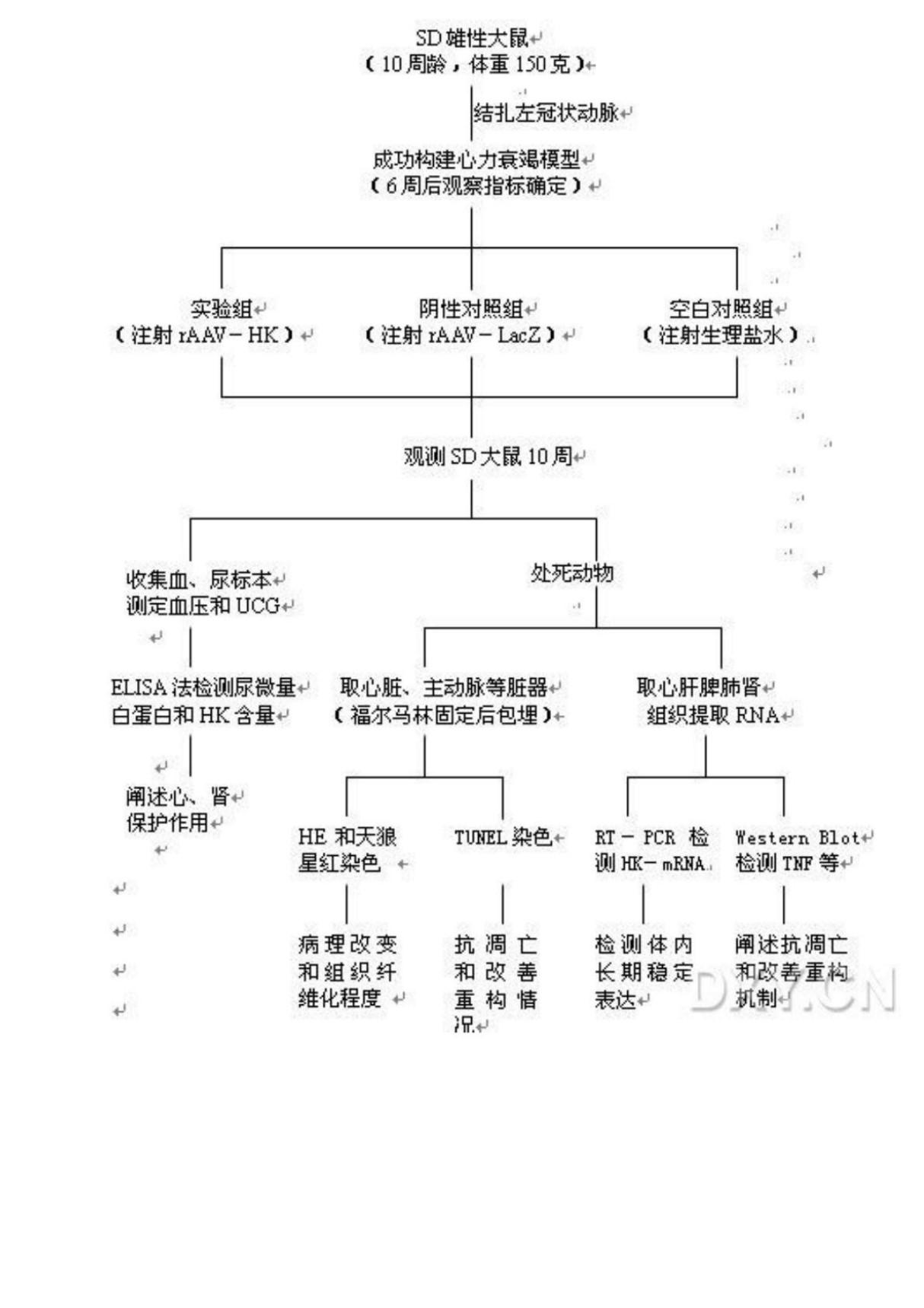 国家自然科学基金技术路线图大全