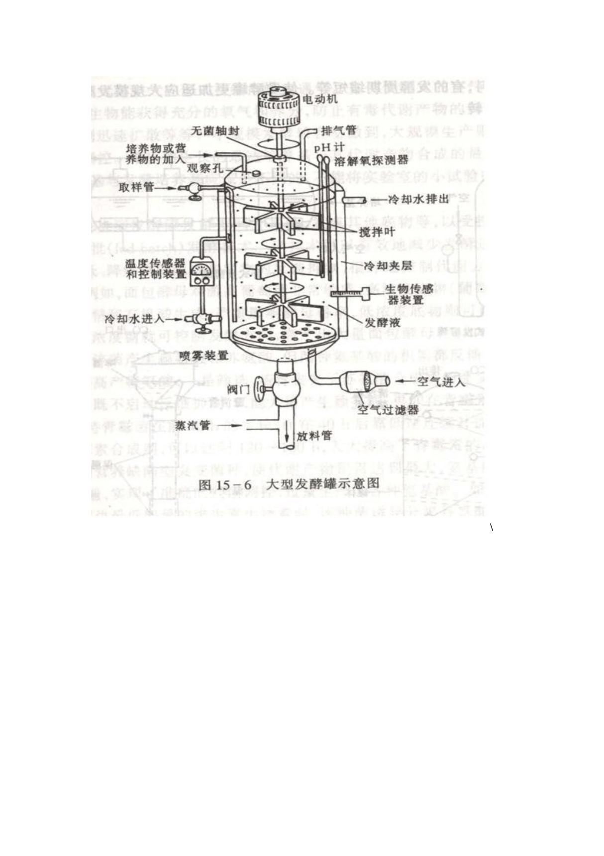 发酵罐结构图