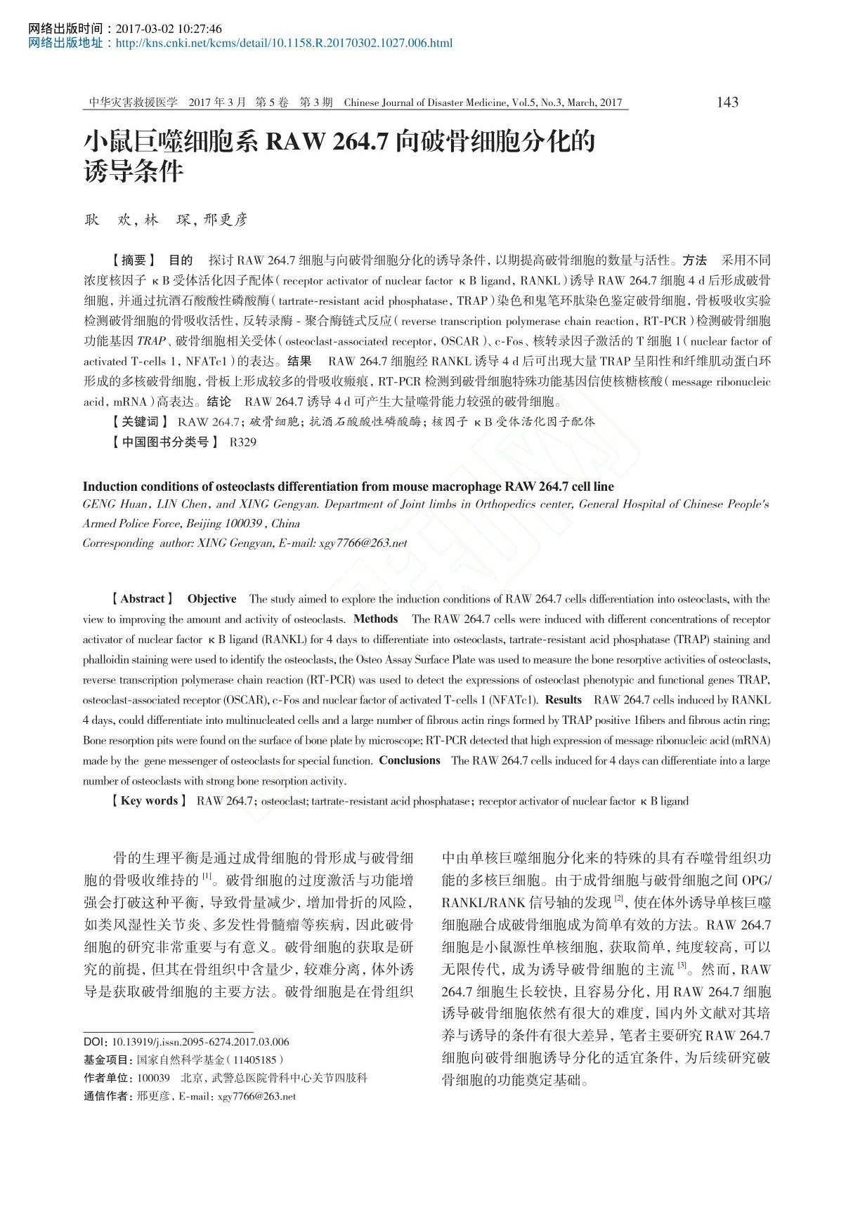 小鼠巨噬细胞系RAW264.7向破骨细胞分化的诱导条件