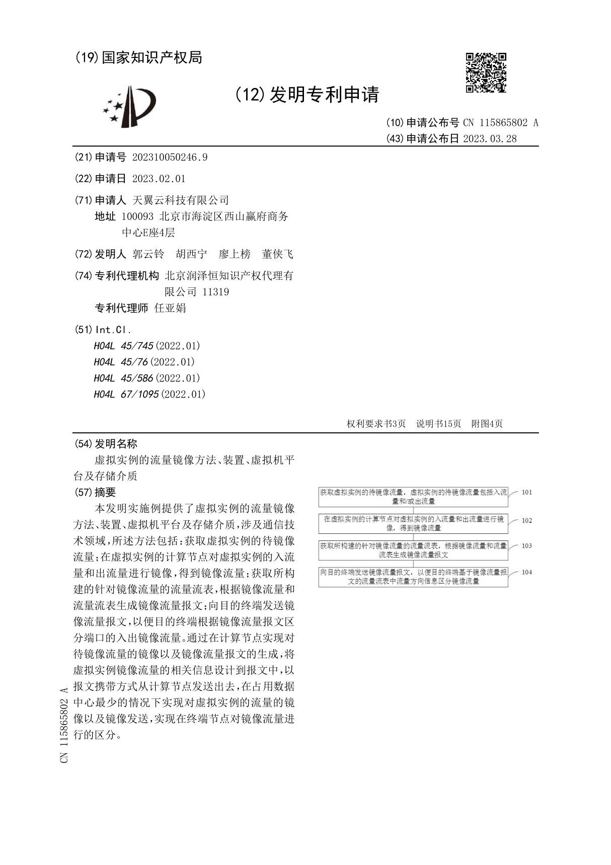 虚拟实例的流量镜像方法 装置 虚拟机平台及存储介质