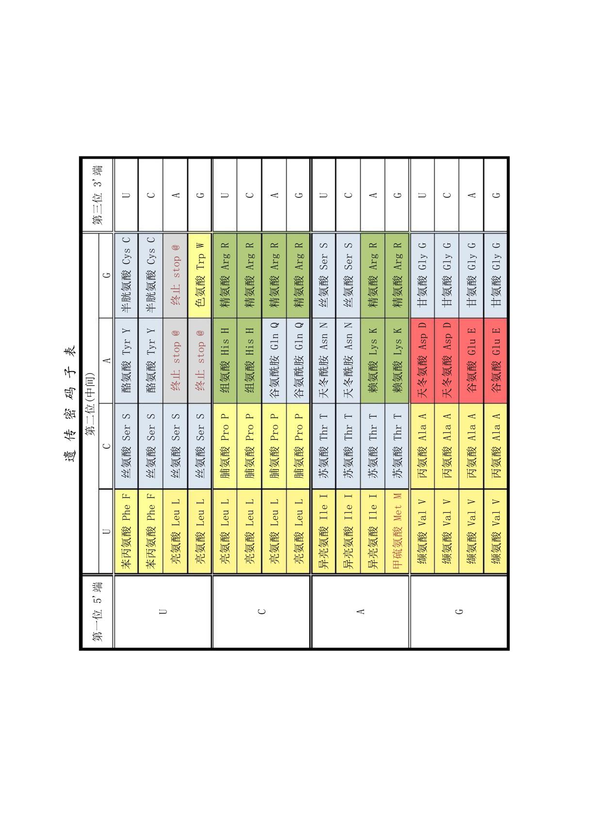 20种氨基酸遗传密码子表