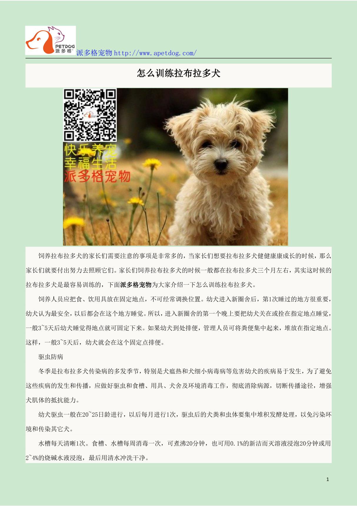 怎么训练拉布拉多犬