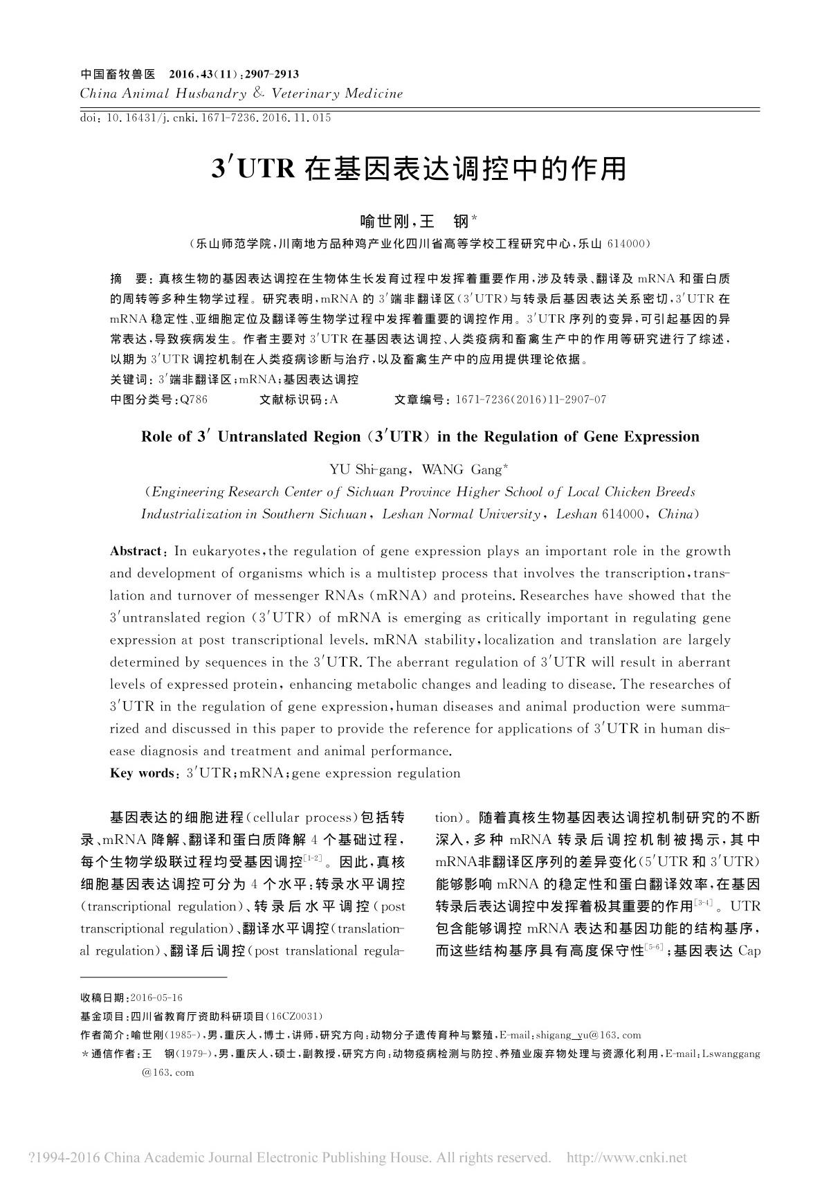 3′utr在基因表达调控中的作用