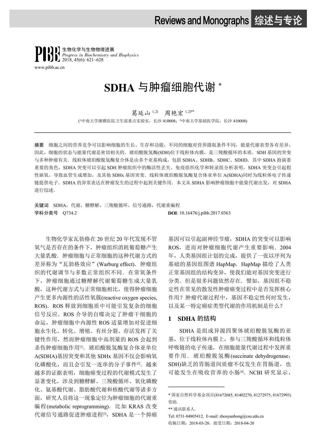 SDHA 与肿瘤细胞代谢