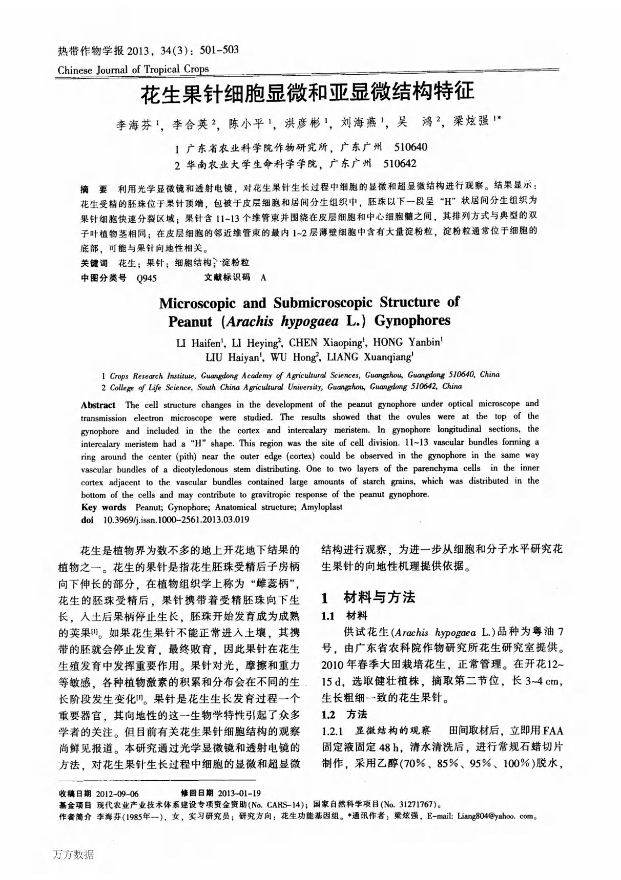 花生果针细胞显微和亚显微结构特征 microscopic and submicroscopic structure of peanut (arachis hypogaea l.) gynophores