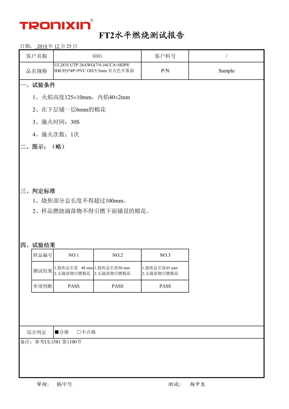 网络线FT2燃烧测试报告