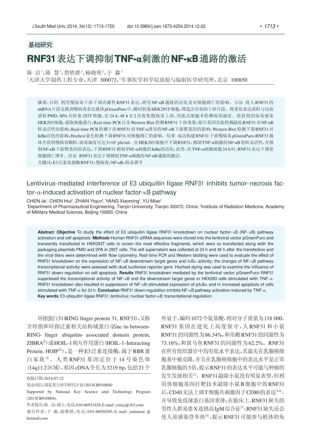 RNF31表达下调抑制TNF-α刺激的NF-κB通路的激活