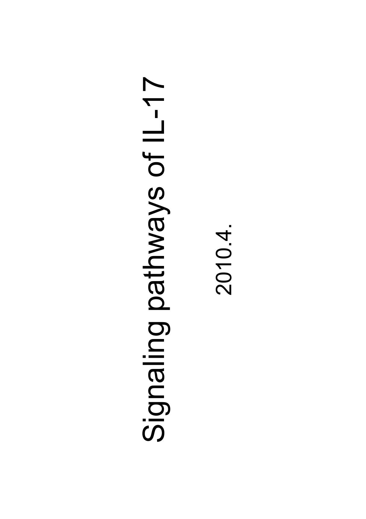 Signaling pathways of IL-17