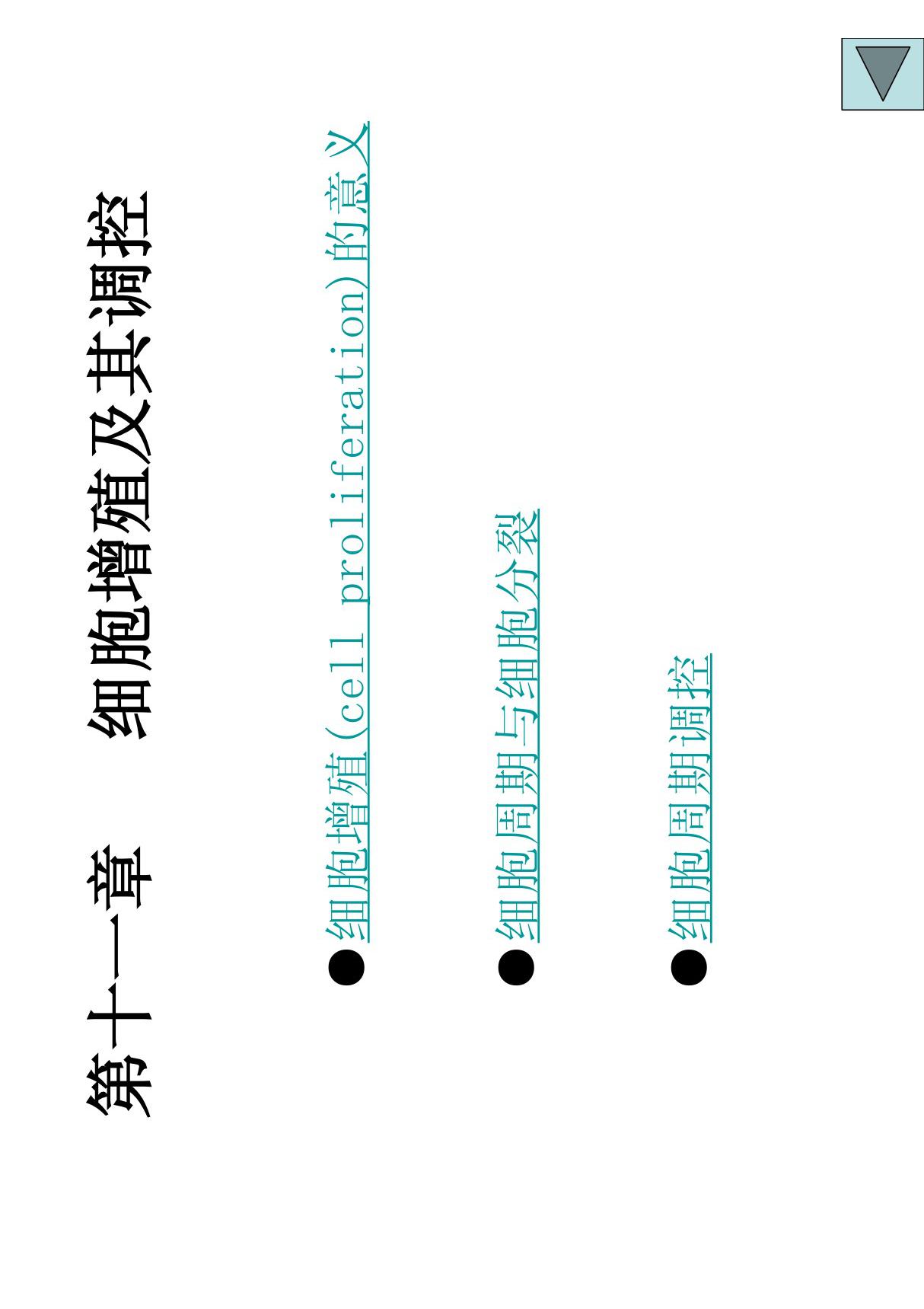 细胞生物学第十一章  细胞增殖及其调控