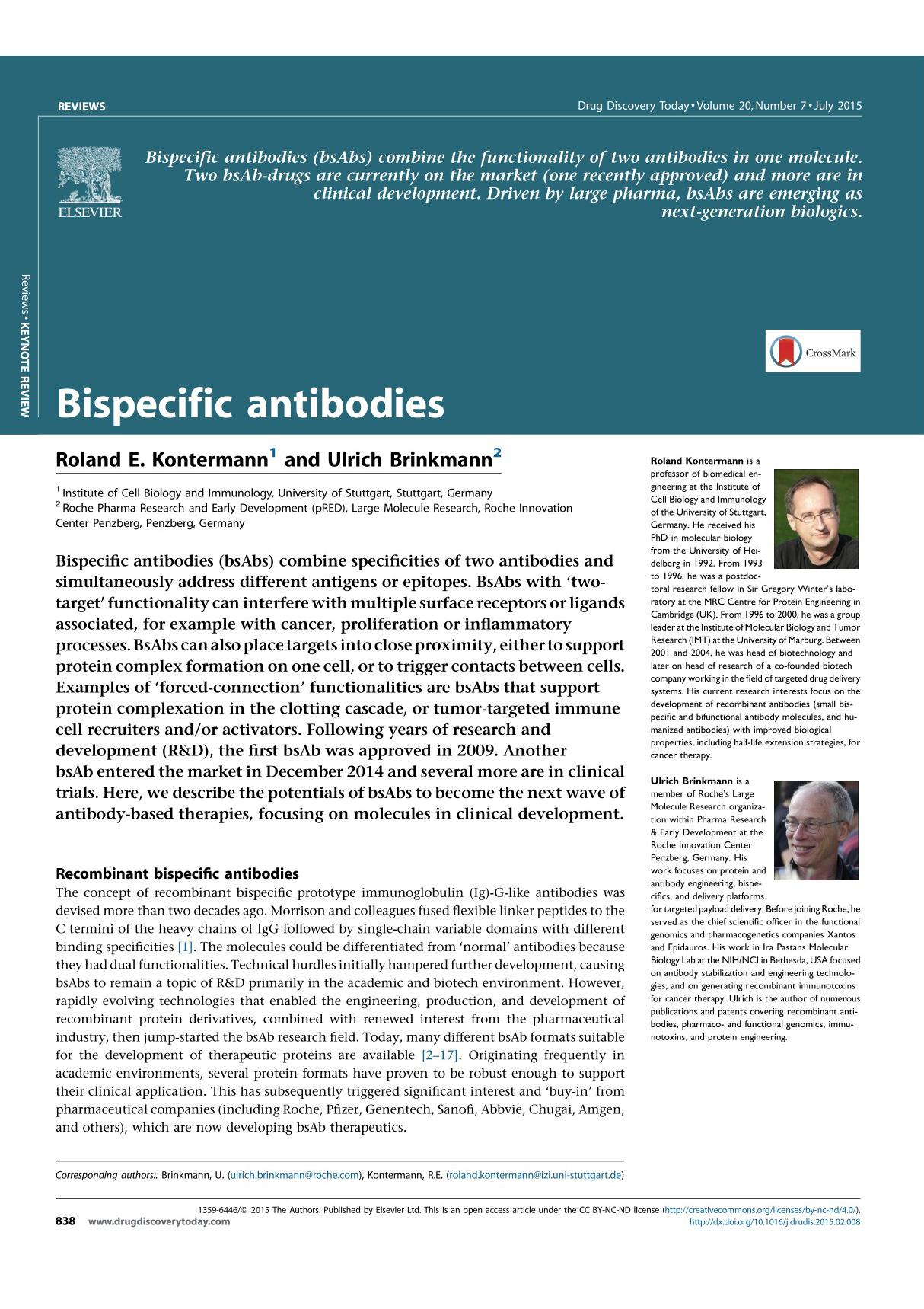 Bispecific antibodies