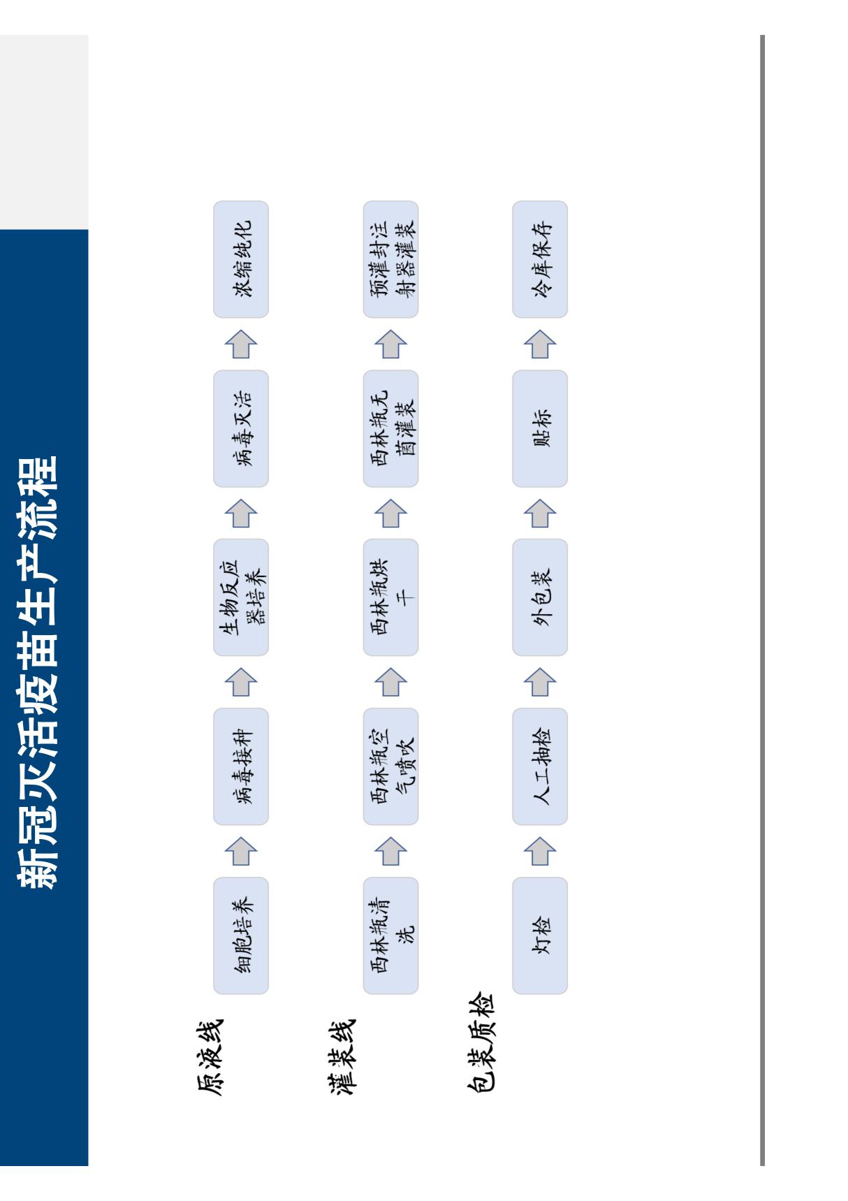 新冠灭活疫苗生产流程