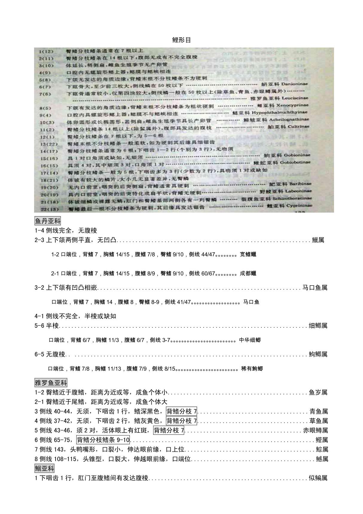 02鲤形目 鲇形目