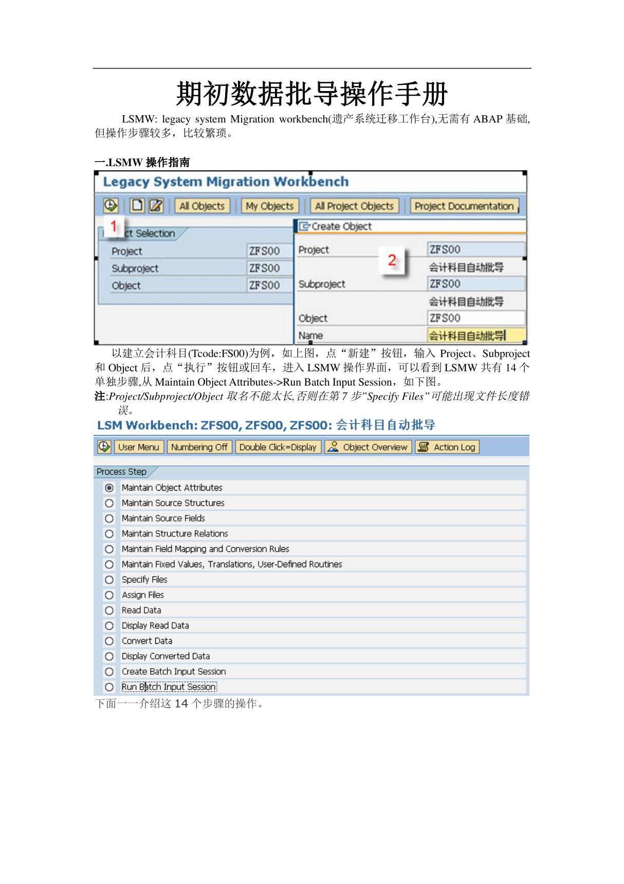 SAP LSMW操作手册(精品PDF)