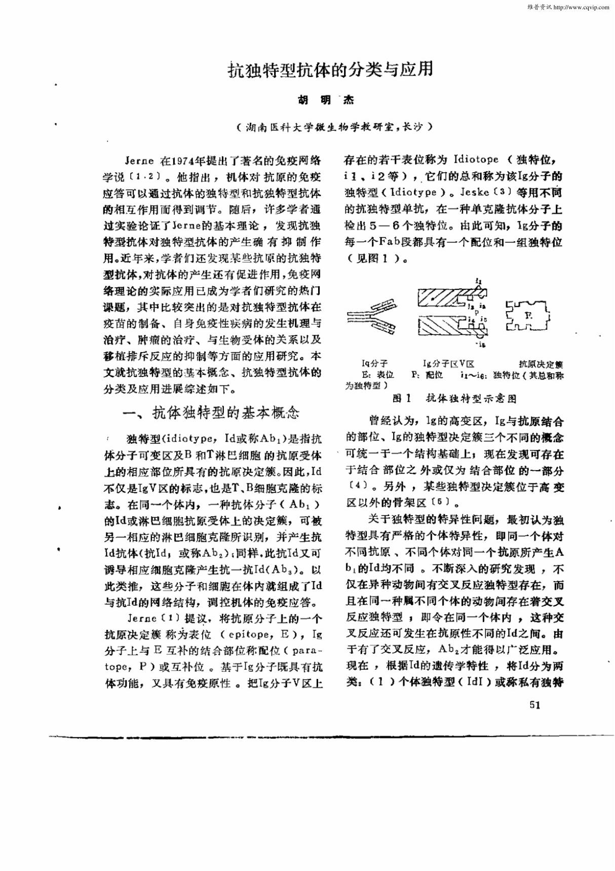 抗独特型抗体的分类与应用