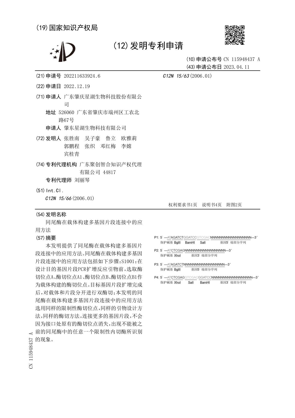 同尾酶在载体构建多基因片段连接中的应用方法