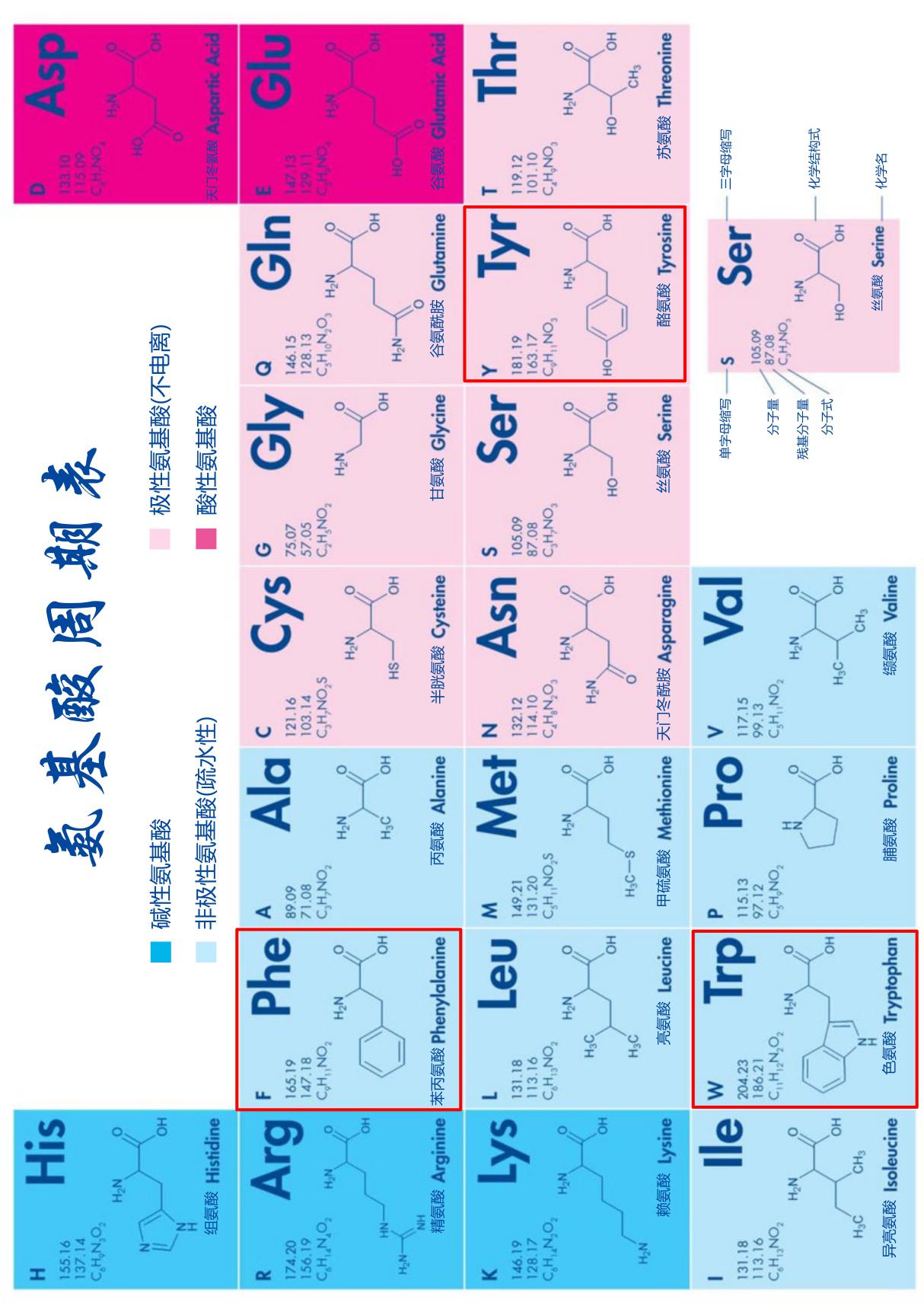 氨基酸周期表