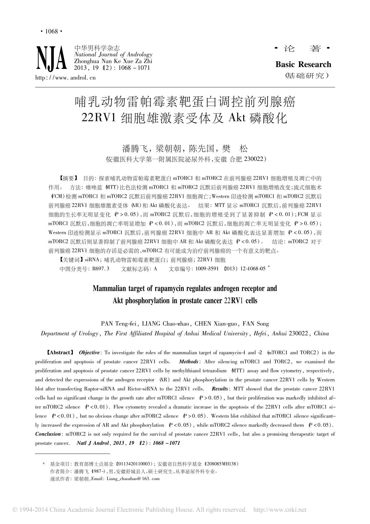 哺乳动物雷帕霉素靶蛋白调控前列腺癌22RV1细胞雄激素受体及Akt磷酸化