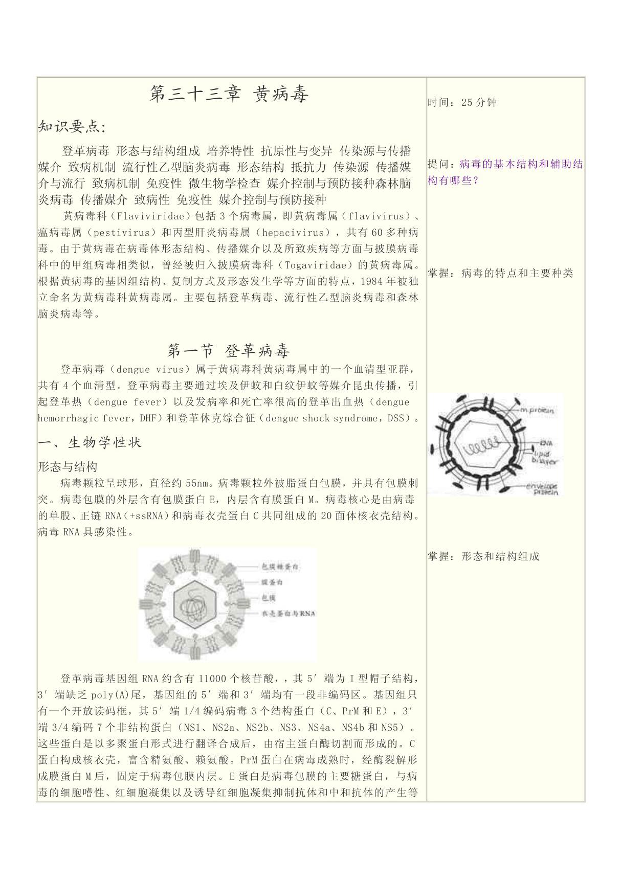 (医学微生物学教案)第三十三章 黄病毒