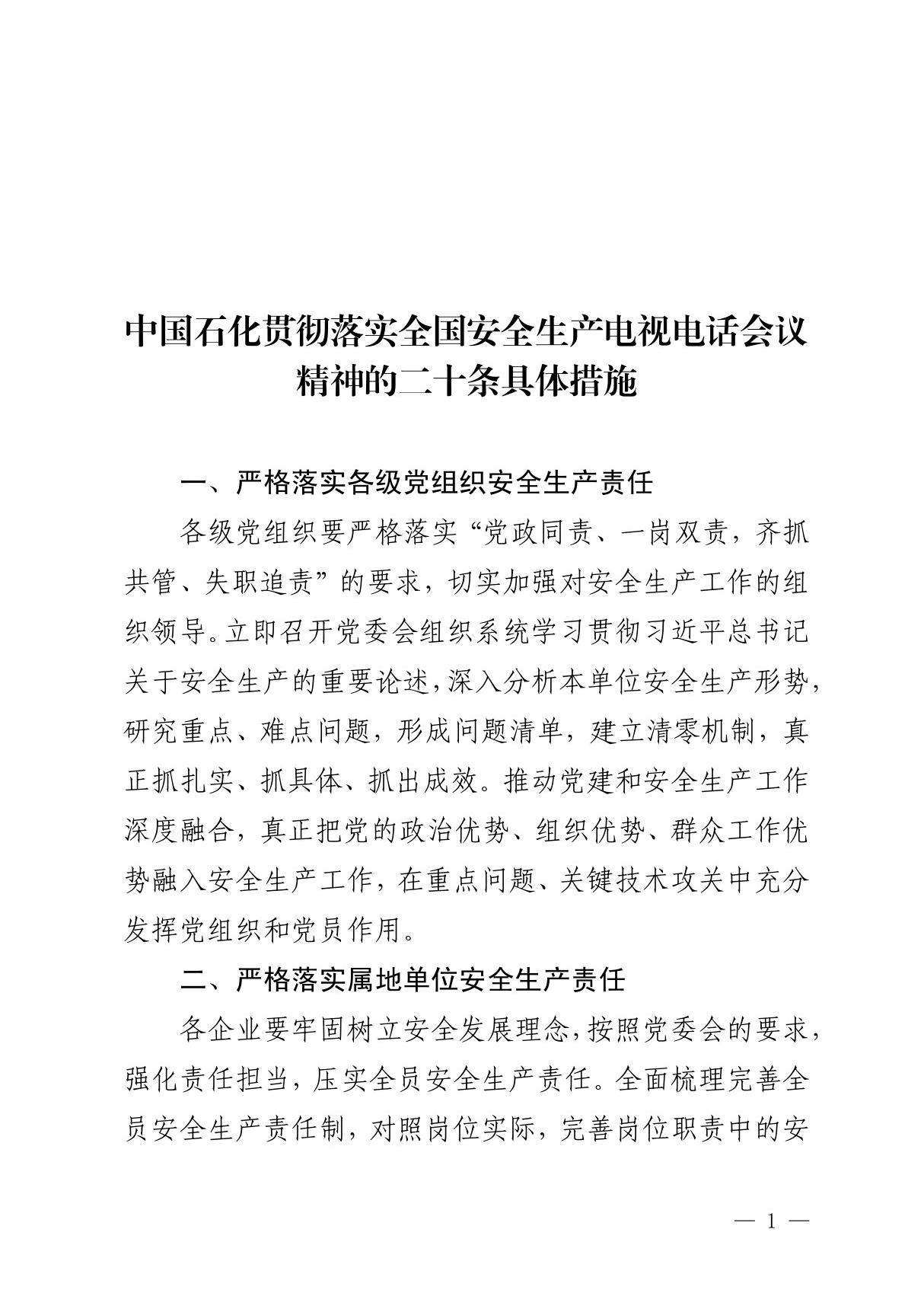 中国石化贯彻落实全国安全生产电视电话会议精神的二十条具体措施