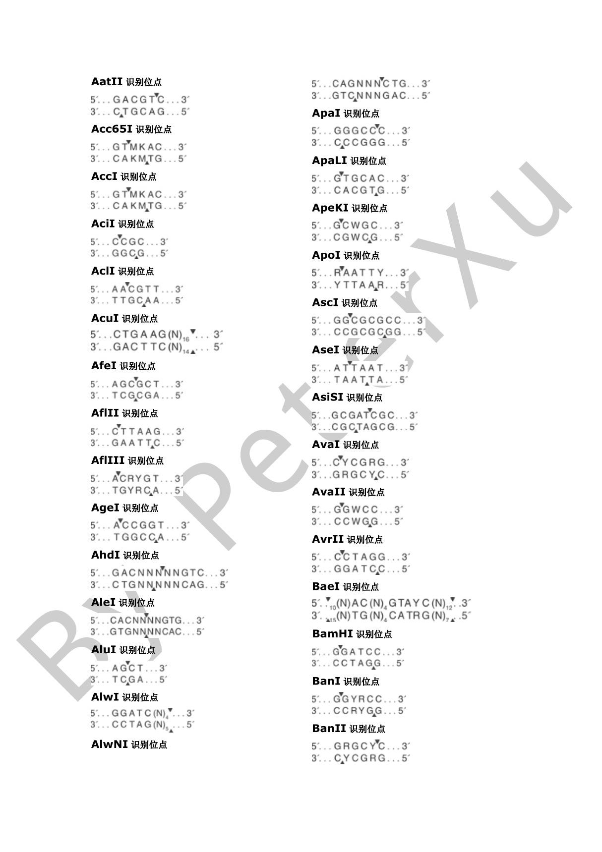 酶切位点汇总