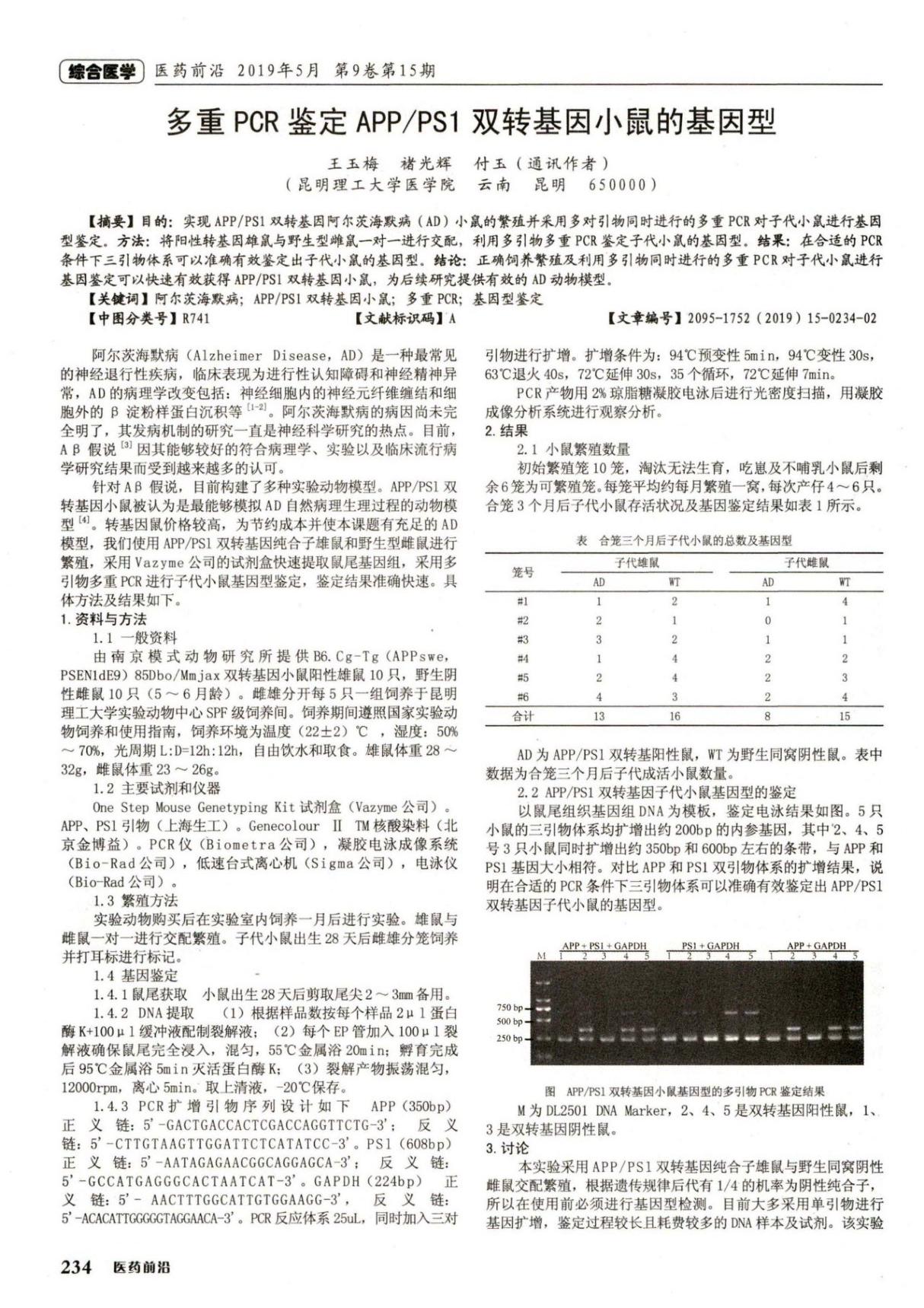 多重PCR鉴定APP/PS1双转基因小鼠的基因型