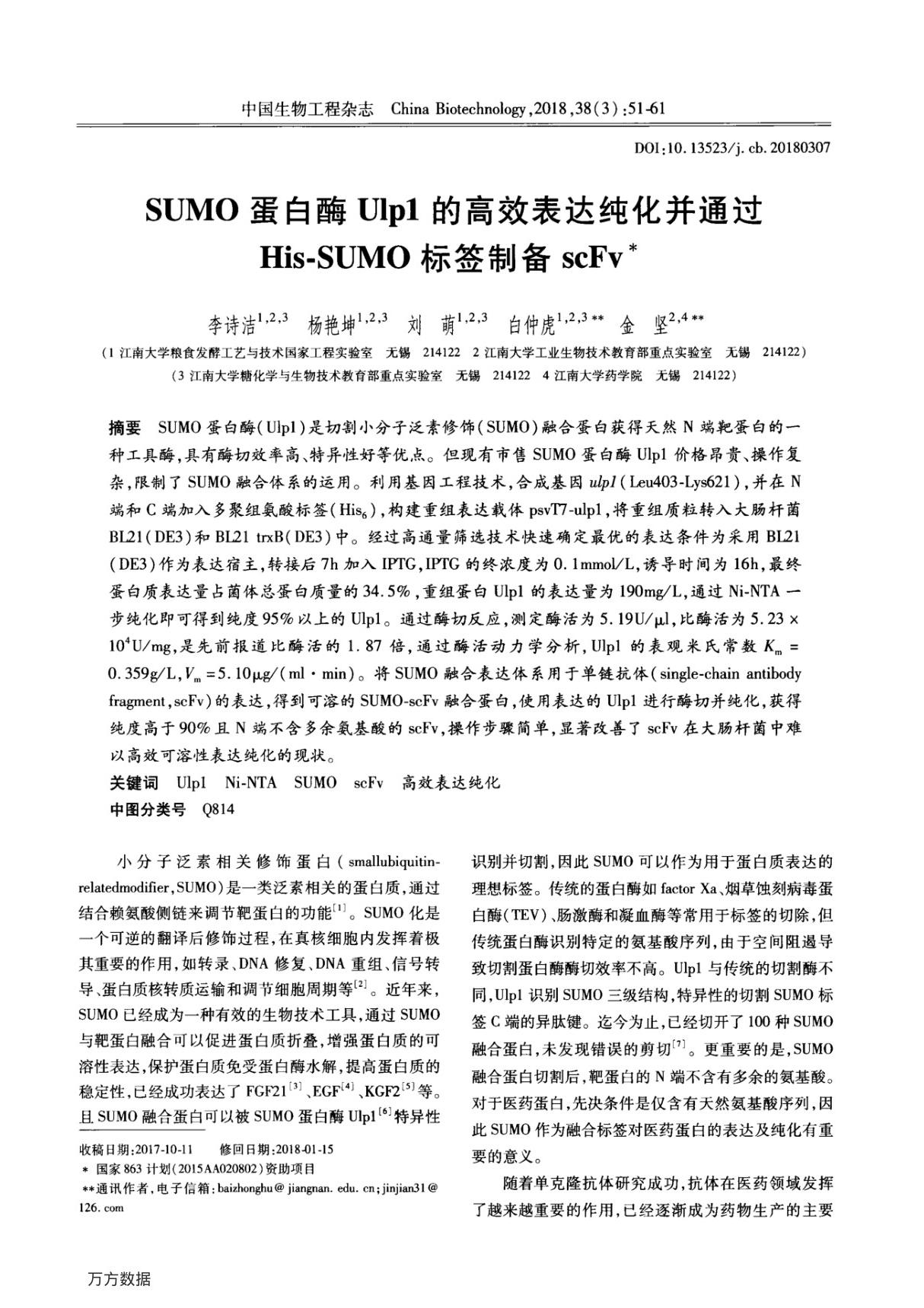 SUMO蛋白酶Ulp1的高效表达纯化并通过His-SUMO标签制备scFv