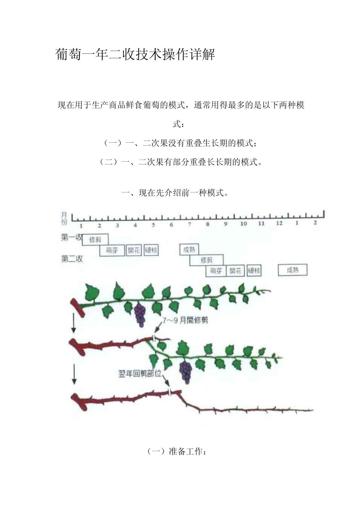 双季葡萄一年两收技术操作详解