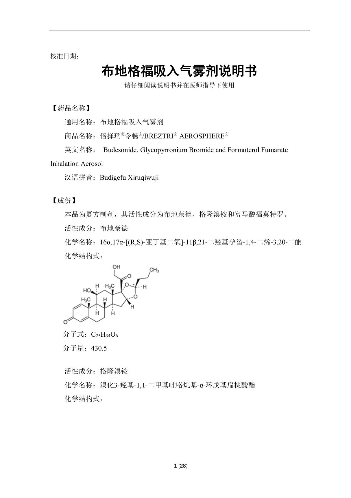 布地格福吸入气雾剂(JXHS1800034-35)说明书