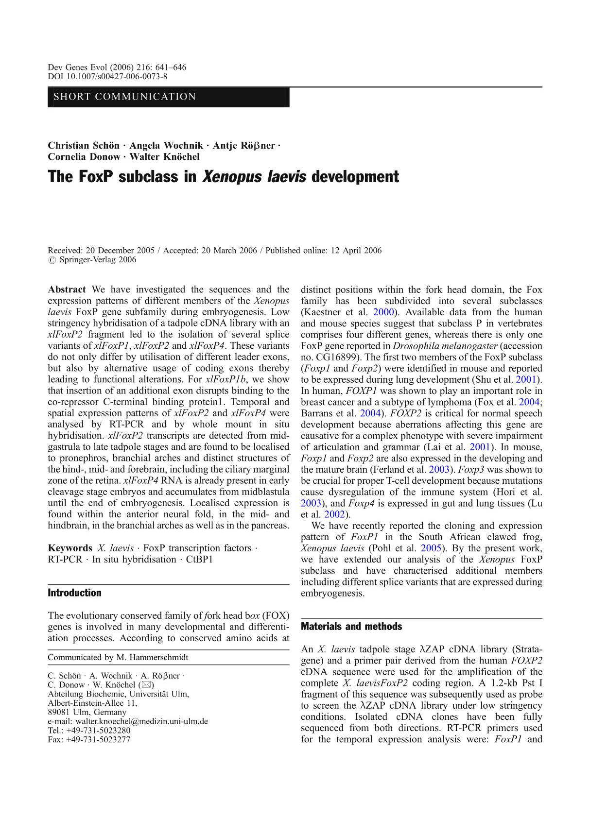 The FoxP subclass in Xenopus laevis development