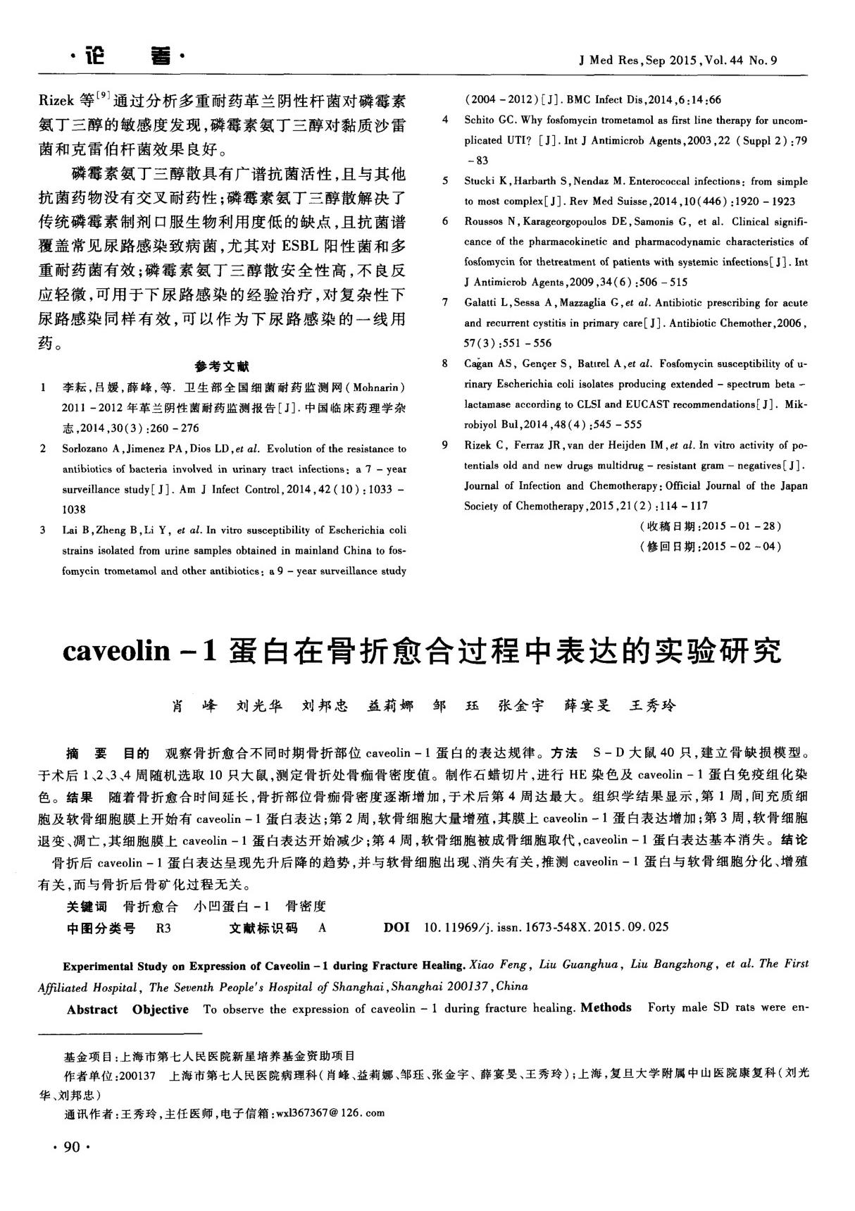 caveolin-1蛋白在骨折愈合过程中表达的实验研究