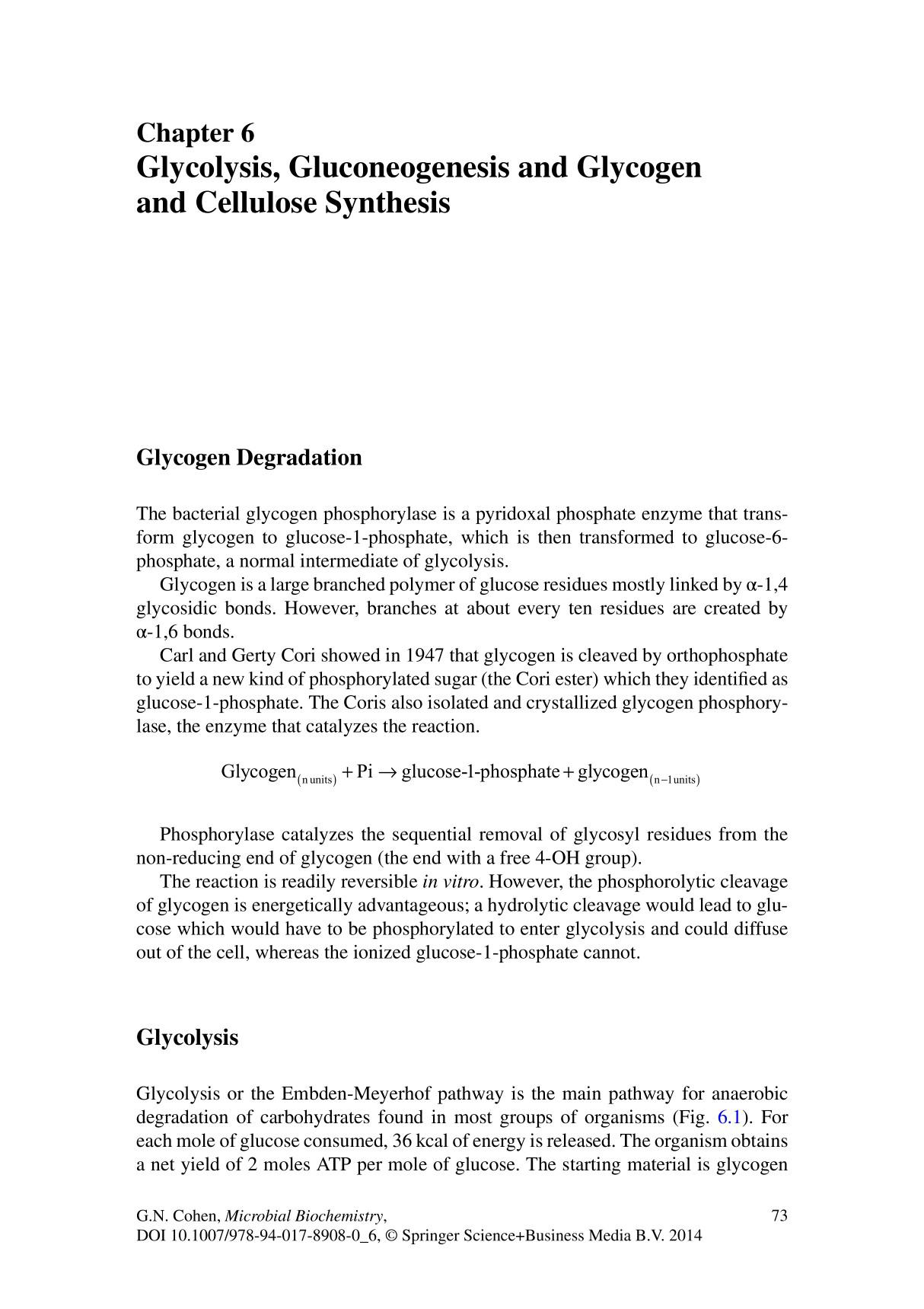 Glycolysis, Gluconeogenesis and Glycogen and Cellulose Synthesis