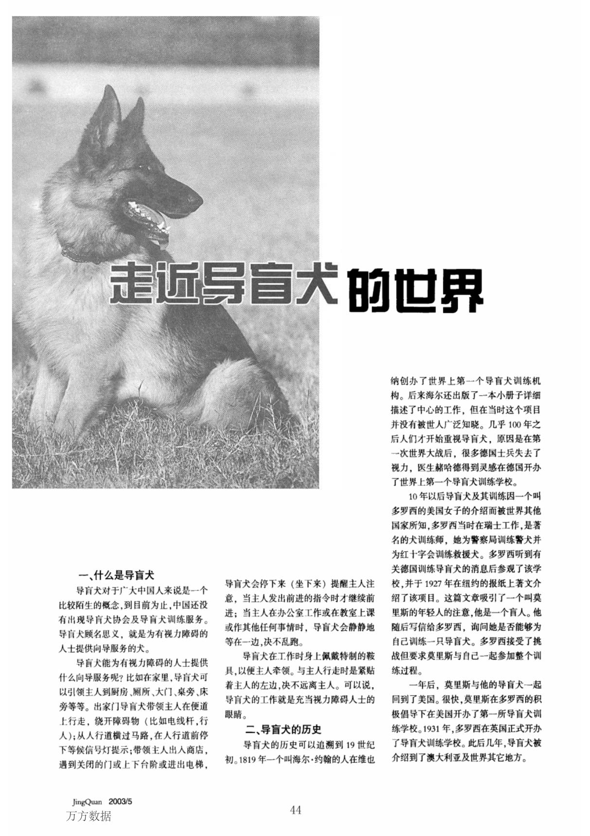 走近导盲犬的世界