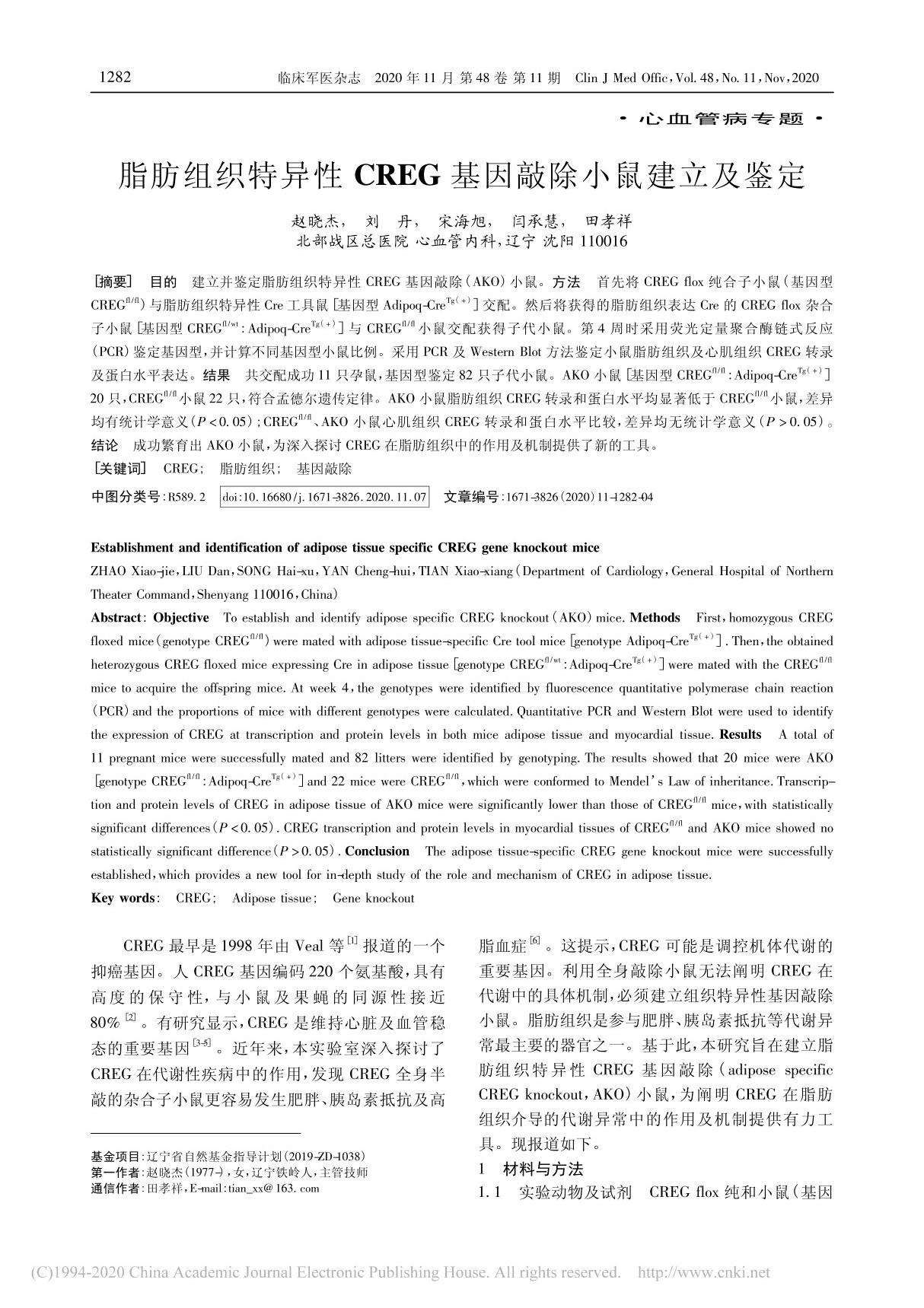 脂肪组织特异性CREG基因敲除小鼠建立及鉴定 赵晓杰