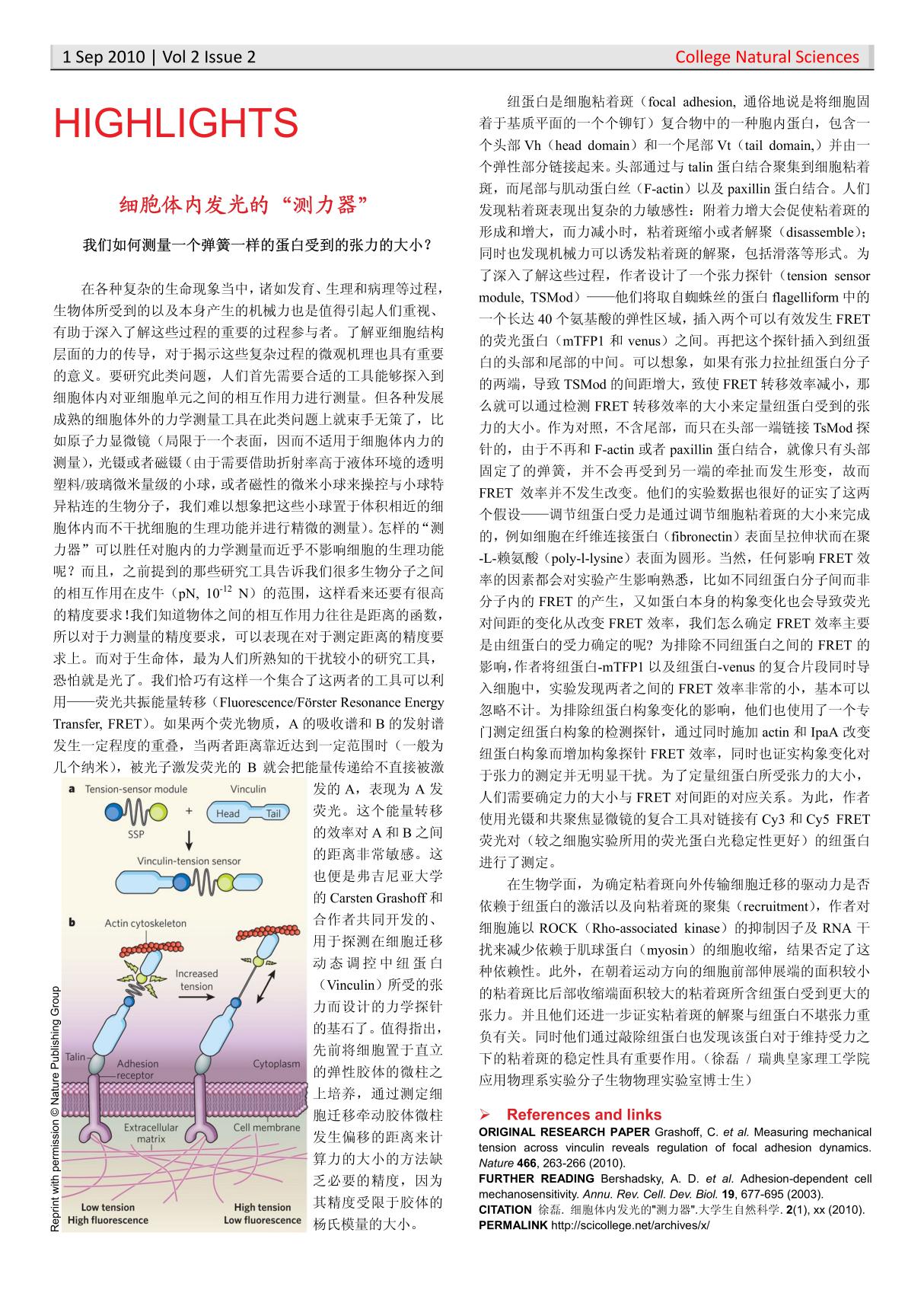 纽蛋白是细胞粘着斑(focal adhesion, 通俗地说是将细胞固