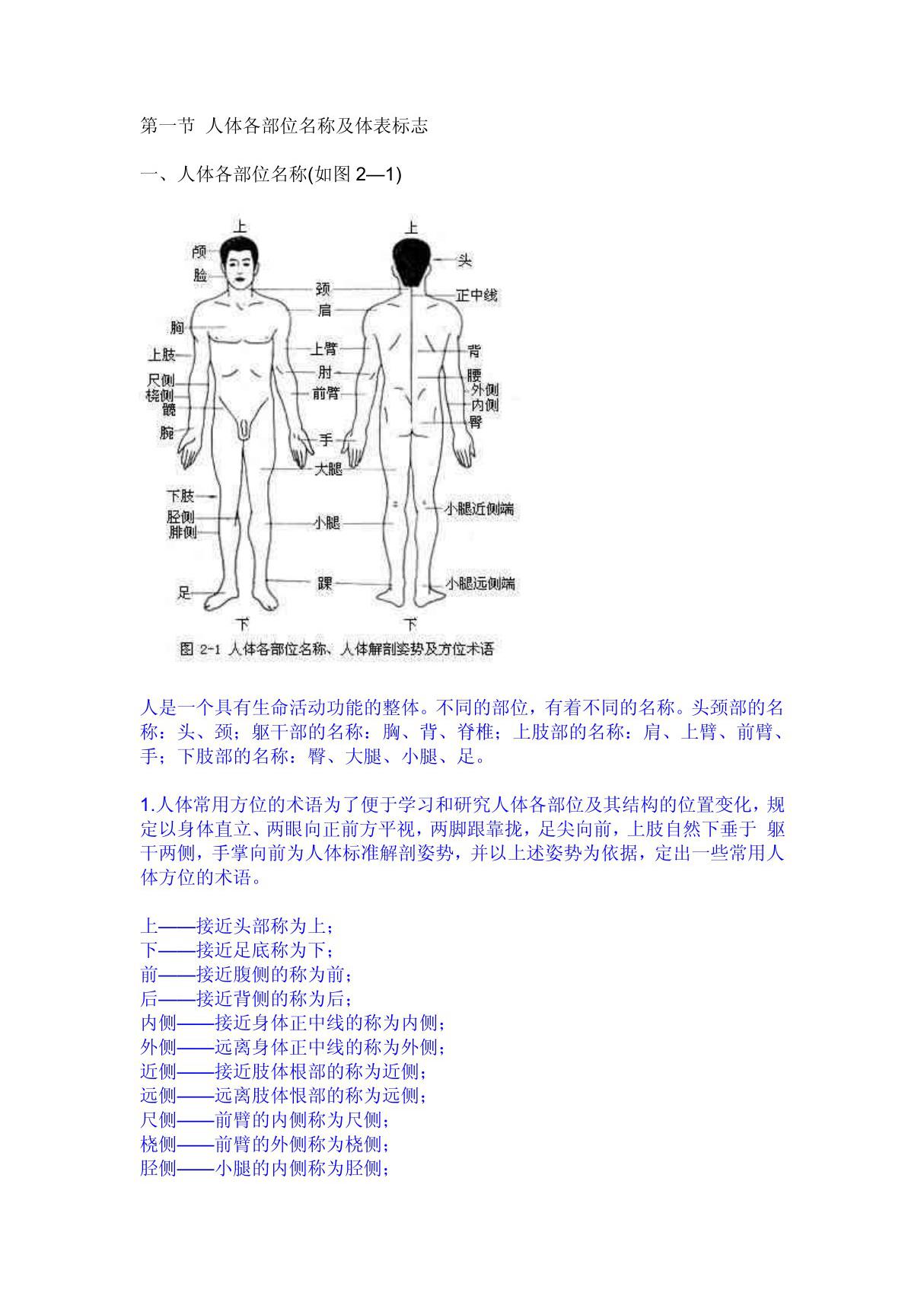 人体各部位名称及体表标志