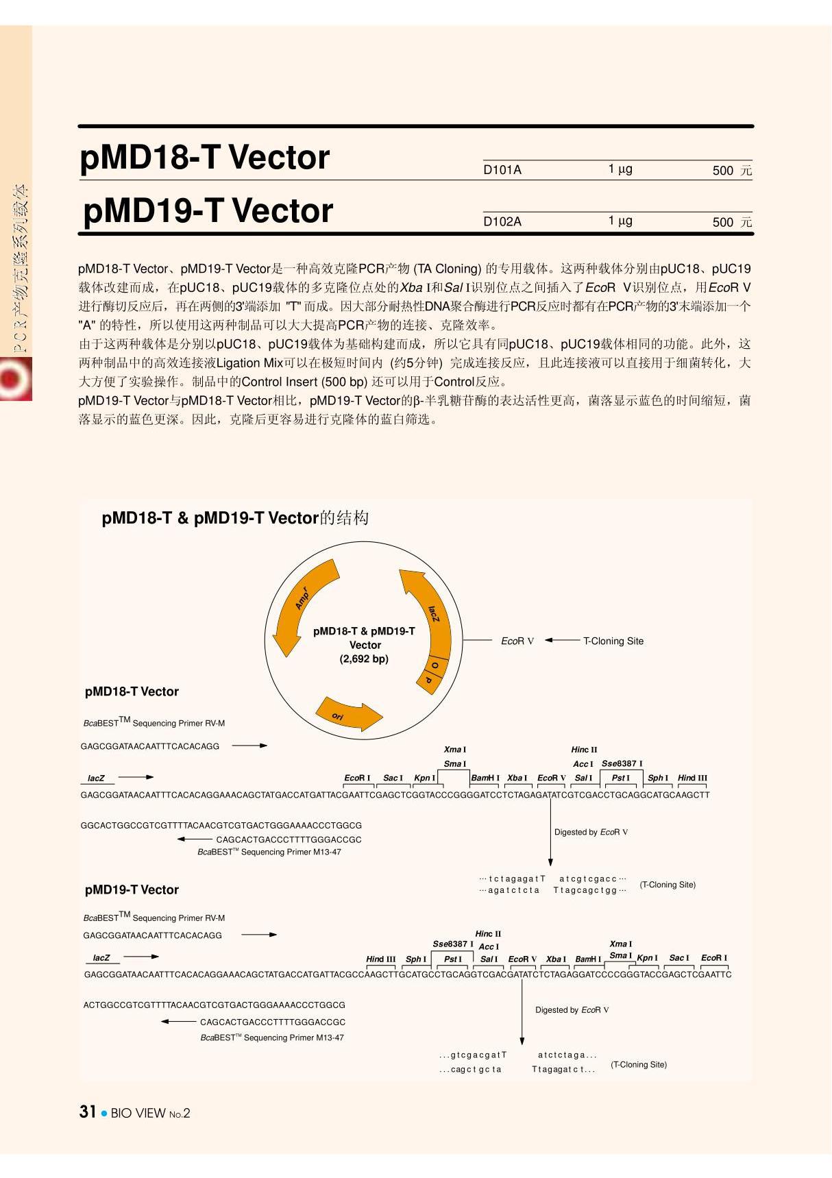 PMD18-T vector