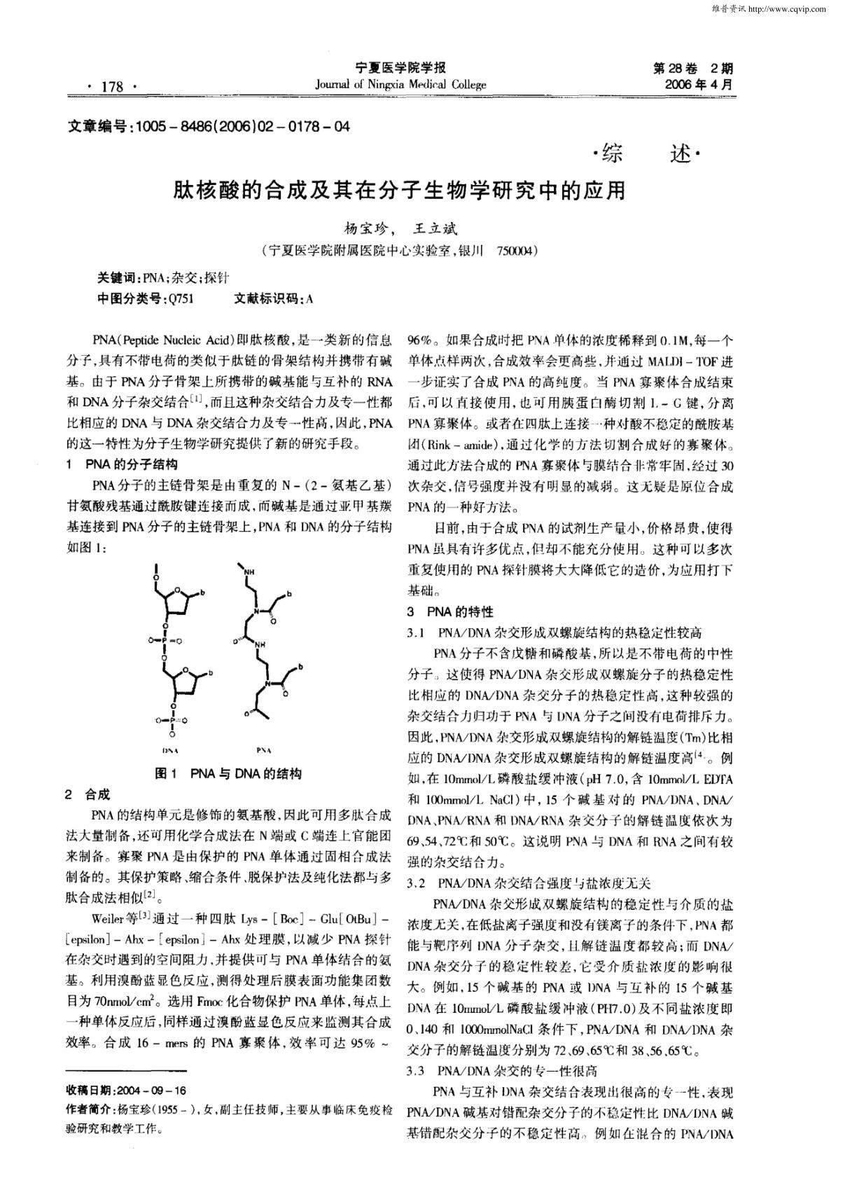 肽核酸的合成及其在分子生物学研究中的应用