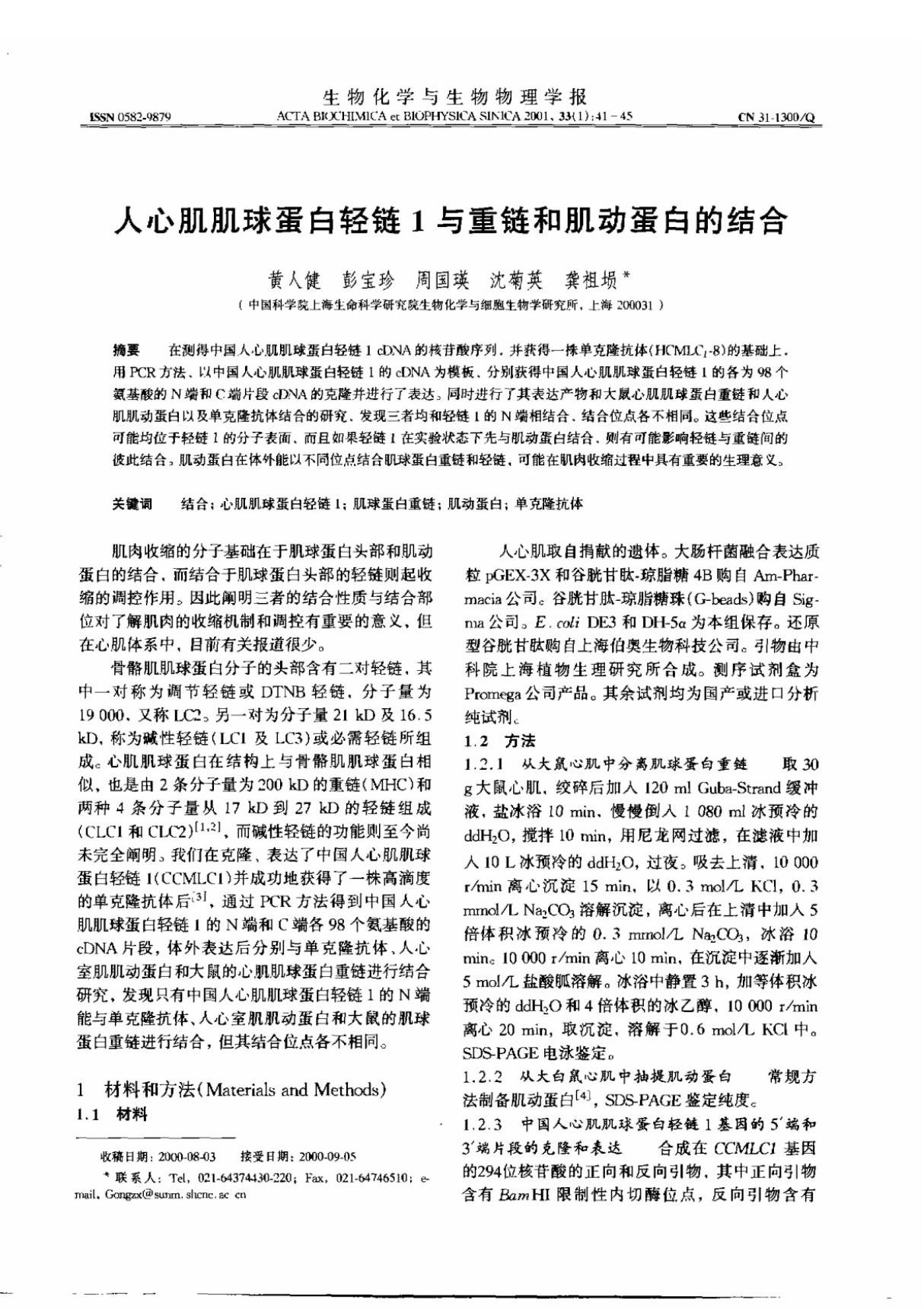 人心肌肌球蛋白链1与重链和肌动蛋白的结合