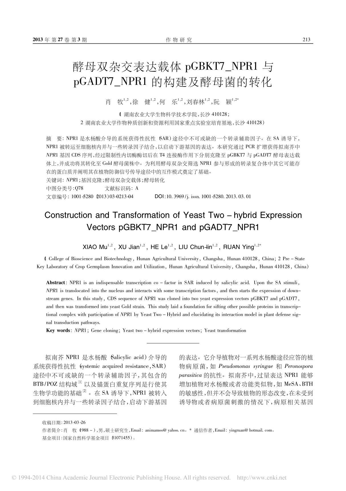 酵母双杂交表达载体pGBKT7 NPR1与pGADT7 NPR1的构建及酵母菌的