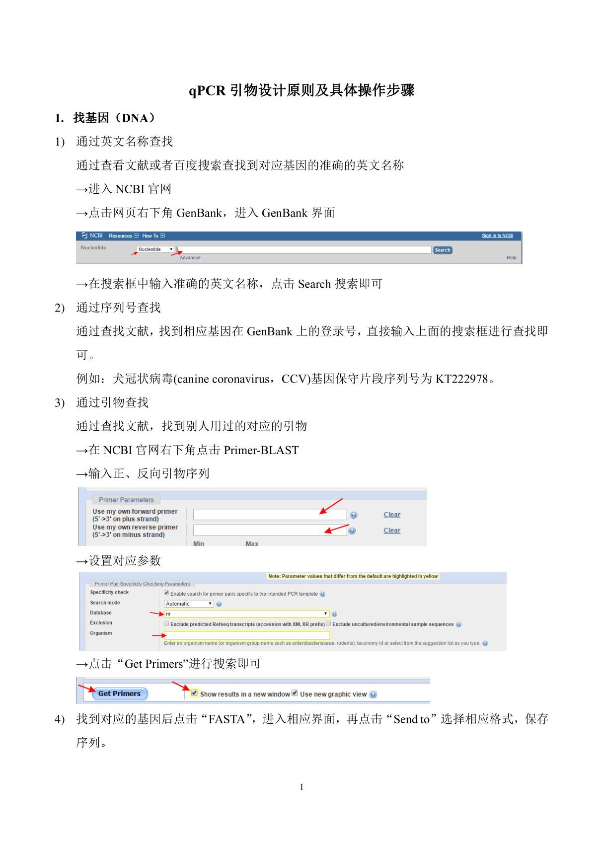 qPCR引物设计原则及具体操作步骤