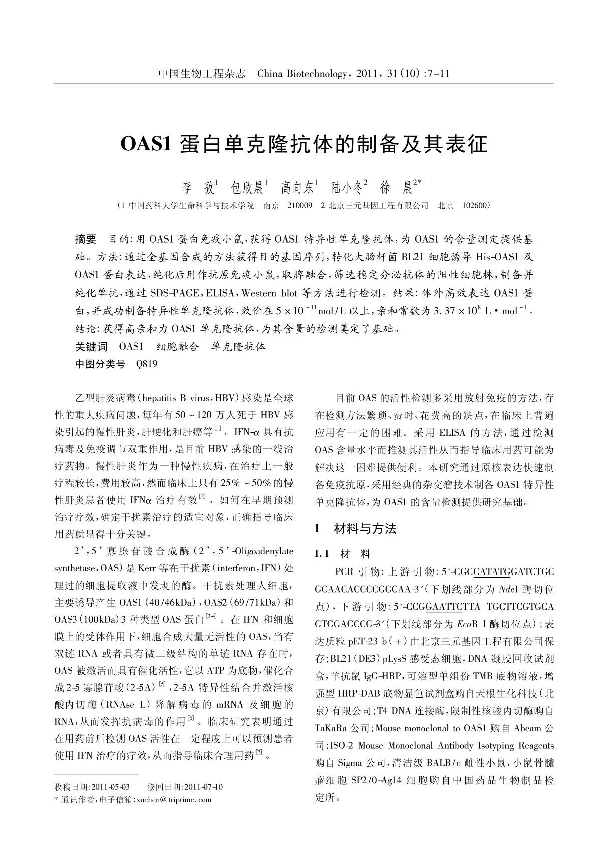 OAS1蛋白单克隆抗体的制备及其表征