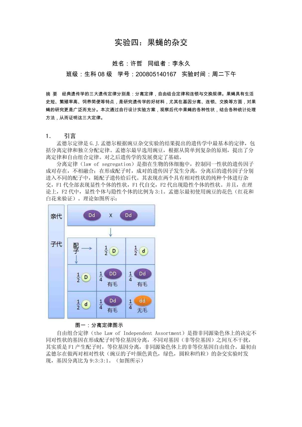 果蝇杂交的实验报告