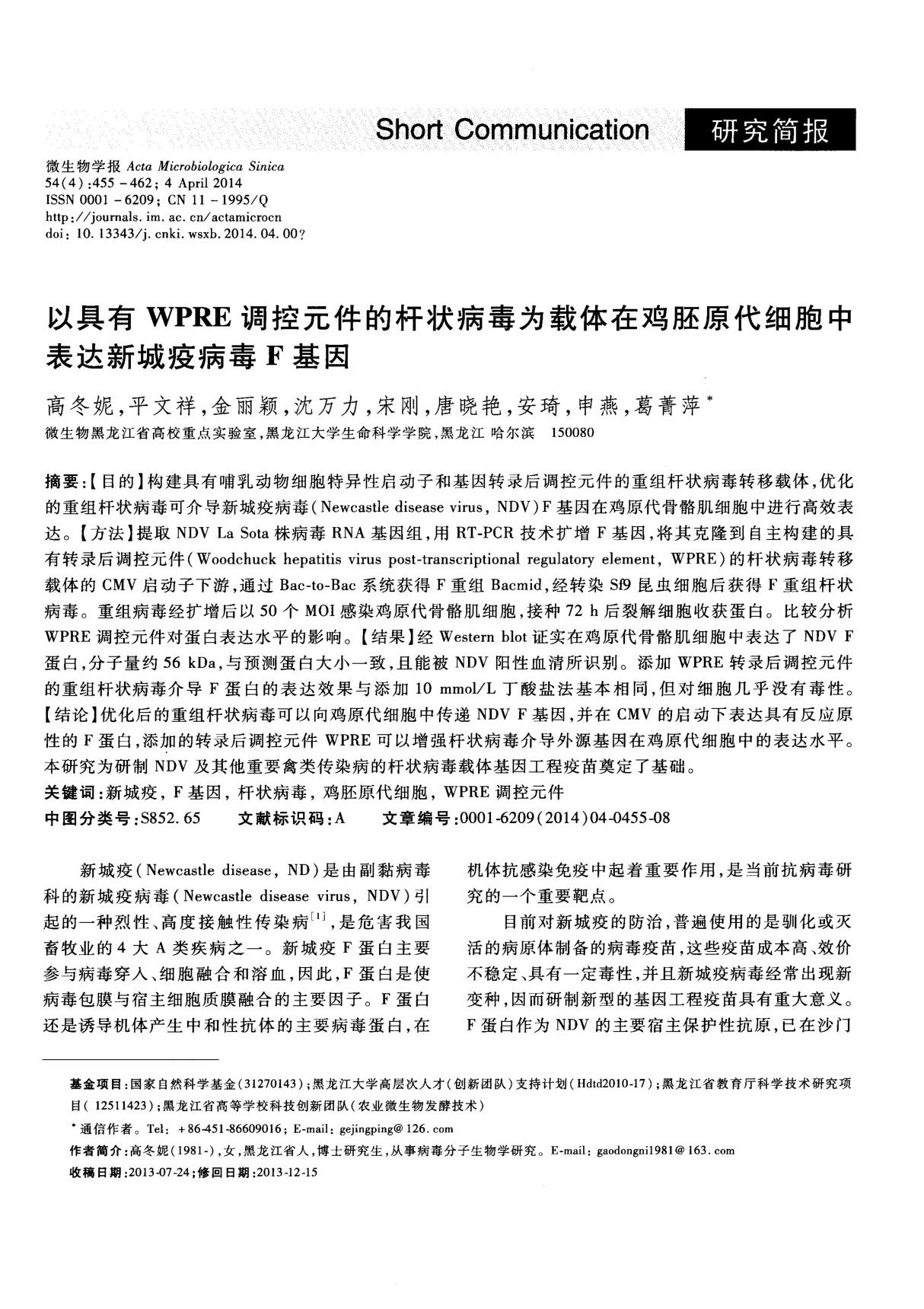 以具有WPRE调控元件的杆状病毒为载体在鸡胚原代细胞中表达新城疫病毒F基因.