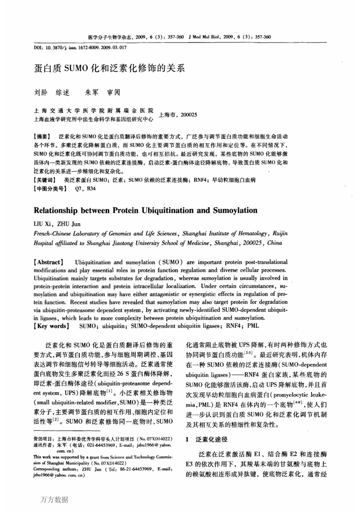 蛋白质SUMO化和泛素化修饰的关系