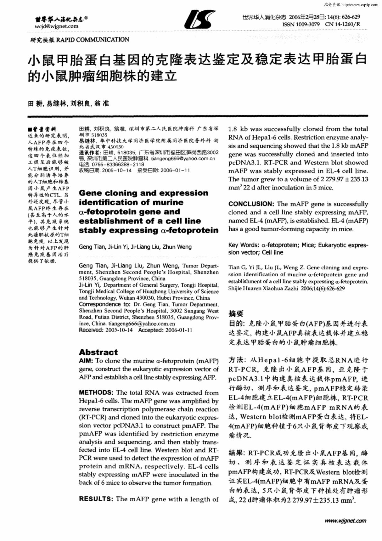 小鼠甲胎蛋白基因的克隆表达鉴定及稳定表达甲胎蛋白的小鼠肿瘤细胞株的建立