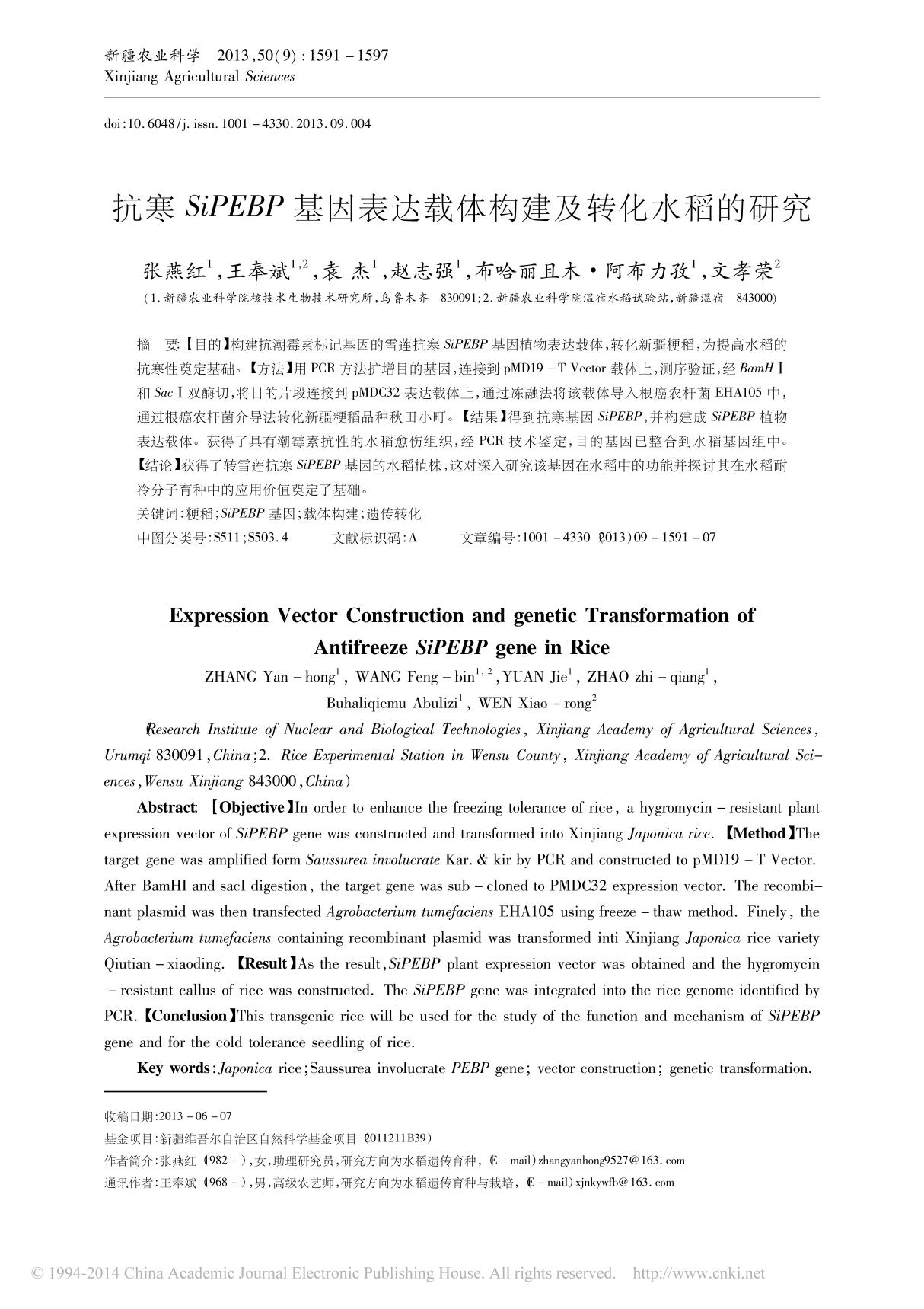 抗寒SiPEBP基因表达载体构建及转化水稻的研究