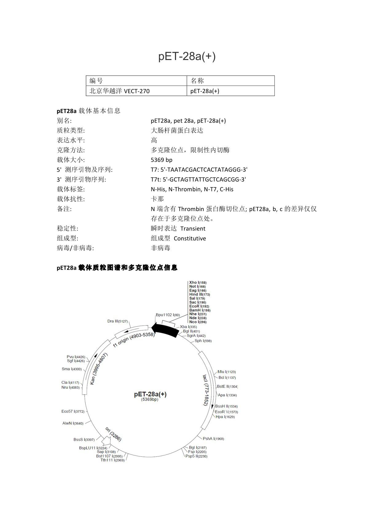 pET-28a()大肠杆菌表达载体说明