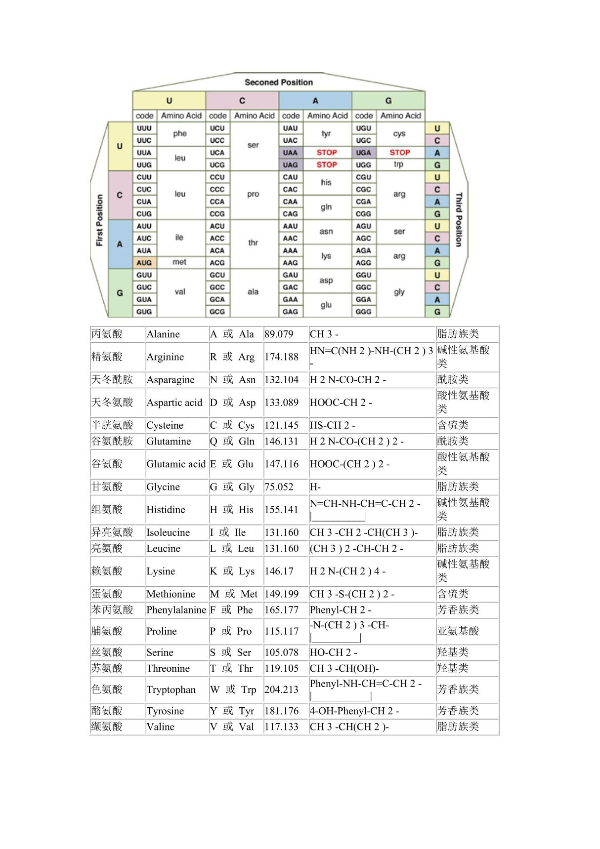 氨基酸密码子对照表