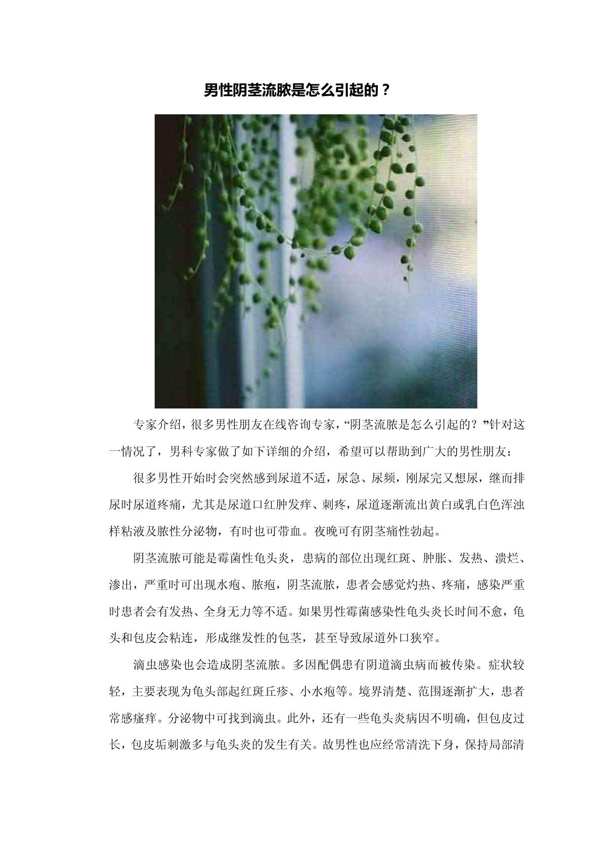 男性阴茎流脓是怎么引起的？